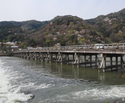 Togetsukyo (Kyoto), vue sur le pont en période de sakura début avril
