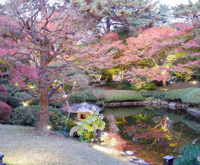 Shirokanedai (Tokyo), jardin sous les koyo à l'automne du musée d'Art métropolitain Teien de Tokyo