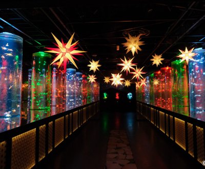 Art Aquarium Museum GINZA (Tokyo), espace d'exposition Goldfish corridor