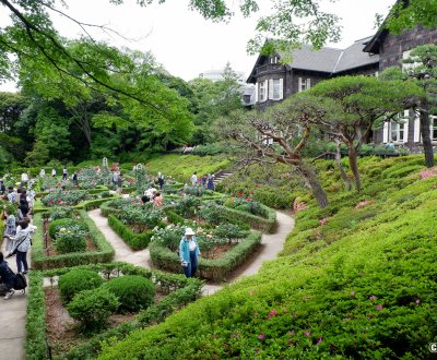 Kyu Furukawa Teien (Tokyo), vue sur le jardin de roses en fleurs devant l'ancienne résidence Furukawa