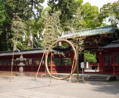 Nezu-jinja (Tokyo), cerceau de purification Chinowa pour Nagoshi no Harae le 30 juin