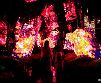 teamLab Biovortex Kyoto, Megaliths in the Eternal Existence of the Open Universe
