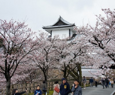 Château de Kanazawa