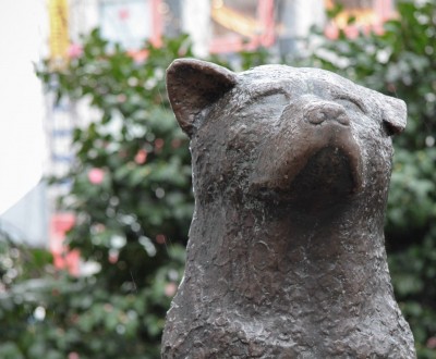 Statue du chien fidèle Hachiko à Shibuya (Tokyo)