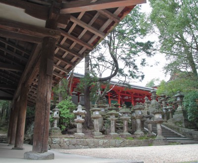 Sanctuaire Kasuga Taisha à Nara