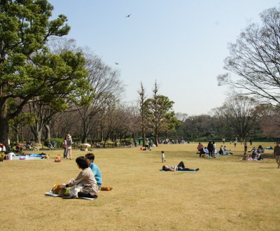 Visiteurs profitant du Parc Kitanomaru à Tokyo
