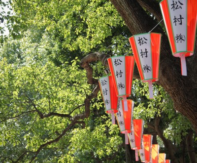 Parc de Ueno, lanternes et cerisiers verts en été