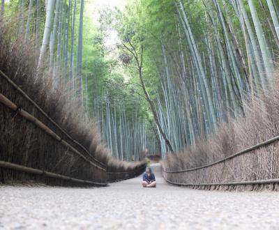 bamboo_path