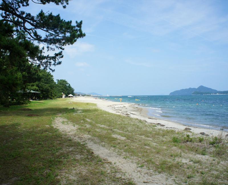 Amanohashidate, pin et plage de sable blanc en été