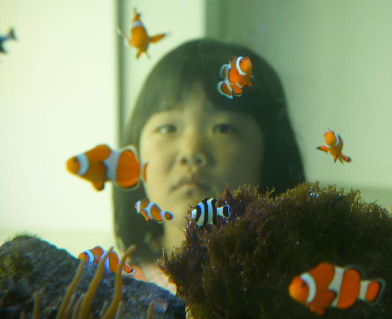 Aquarium Kaiyukan (Osaka), petite fille japonaise en visite 2