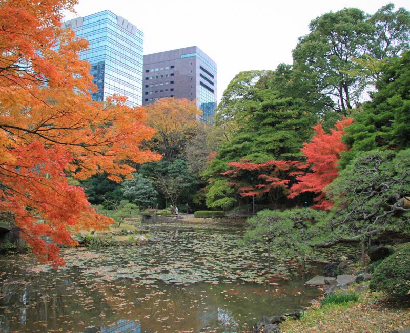 Koishikawa Korakuen (Tokyo) en automne et constructions modernes 2