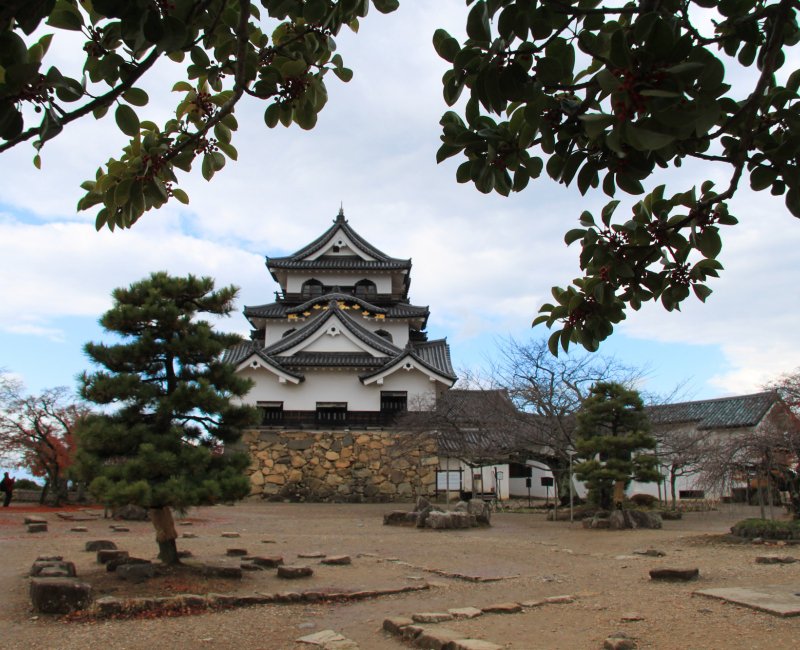 Chateau de Hikone (Shiga), vue du donjon dans l'enceinte Honmaru