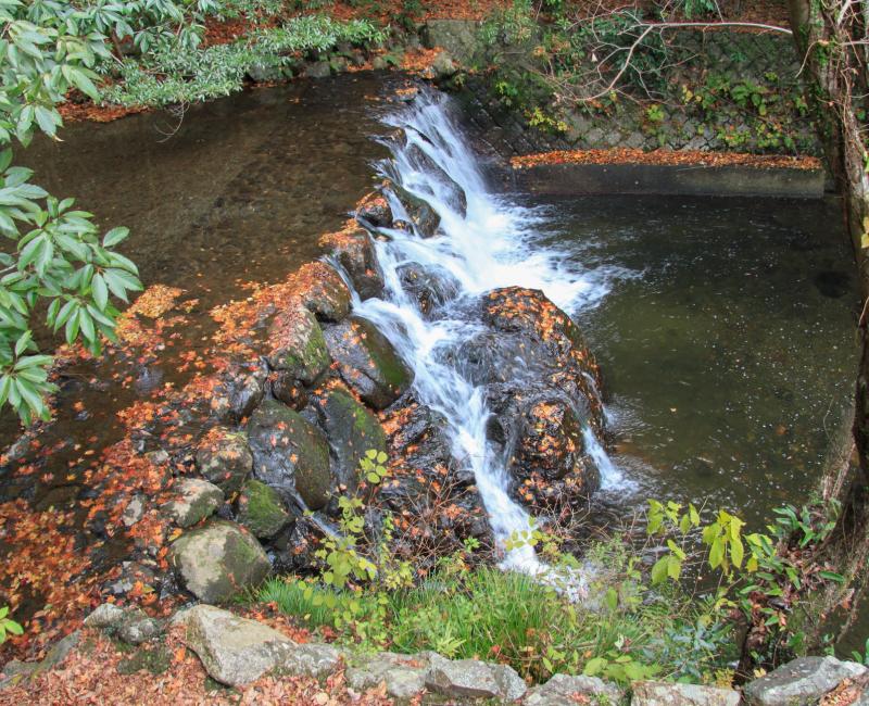 Parc de Minoh (Osaka), Rivière et petit barrage de pierre Parc de Minoh (Osaka), Rivière et petit barrage de pierre