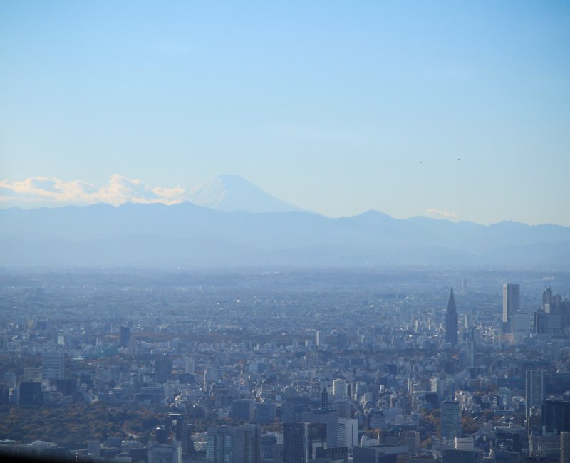 Tokyo SkyTree, vue sur le Mont Fuji depuis la tour
