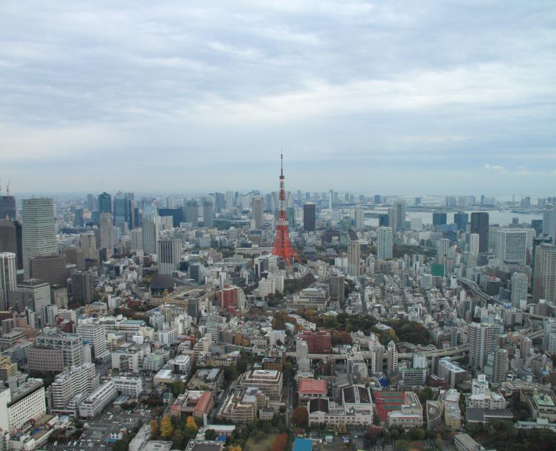 Tokyo City View (Roppongi), Vue sur Tokyo Tower depuis la Tour Mori 