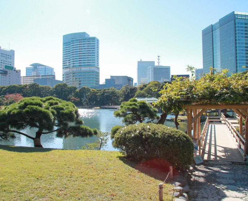 Hama Rikyu (Tokyo), Jardin japonais traditionnel et immeubles modernes en arrière-plan 2