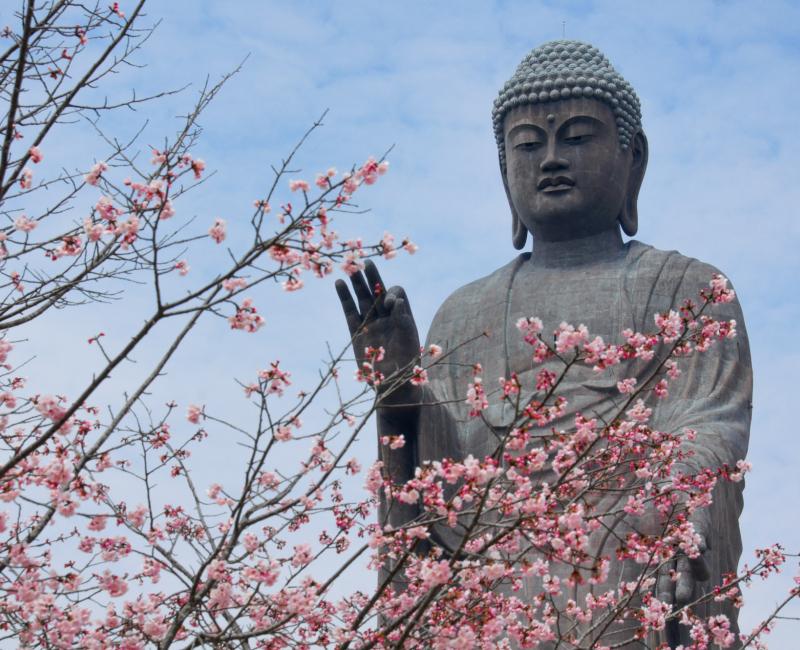 Grand Bouddha Ushiku Daibutsu à Ushiku (Ibaraki) au printemps 2