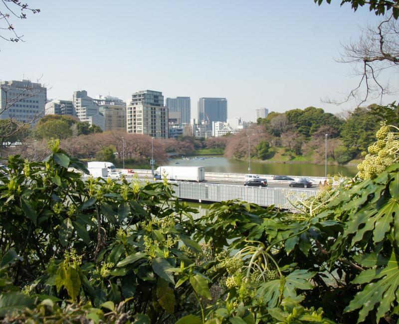 Chidorigafuchi à Tokyo, Vue sur le trafic routier urbain