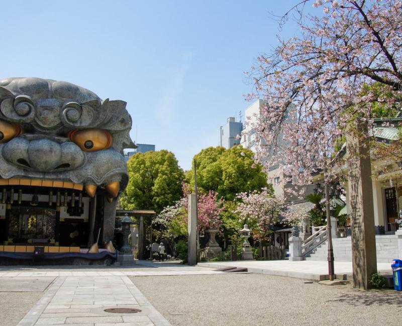 Namba Yasaka-jinja (Osaka), Pavillon en tête de lion Ema-den et cerisiers en fleur au printemps