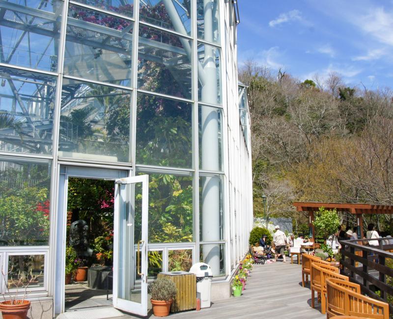 Nunobiki (Kobe), serre du Jardin d'Herbes 2