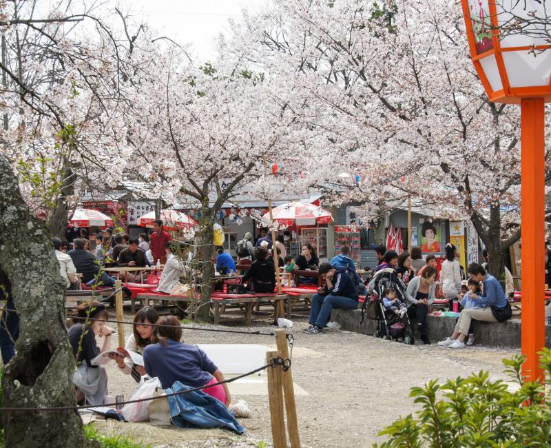 Parc Maruyama (Kyoto), Stands de nourriture au printemps