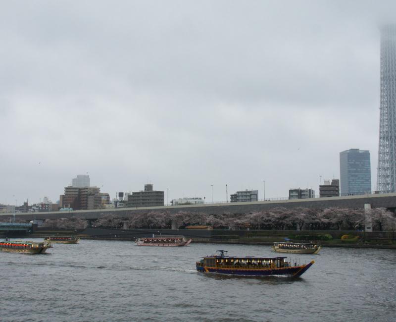 Parc Sumida à Asakusa (Tokyo), Yakatabune et bateaux de croisières sur la rivière Sumida