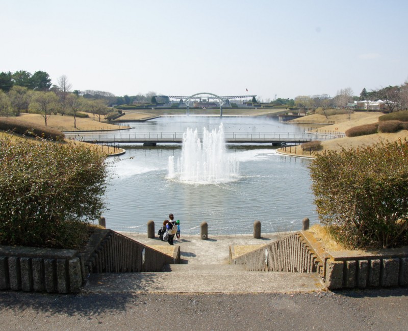 Hitachi Seaside park (Ibaraki) 7