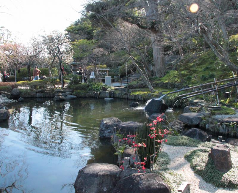Hase-dera (Kamakura), Jardin japonais