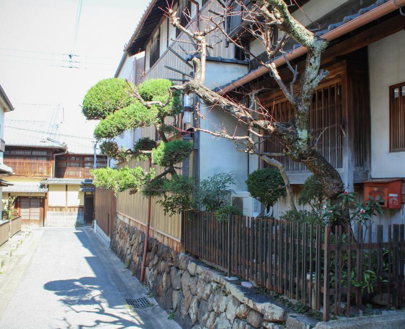 Quartier Naramachi à Nara, Maison traditionnelle avec jardin sur la rue Quartier Naramachi à Nara, Maison traditionnelle avec jardin sur la rue