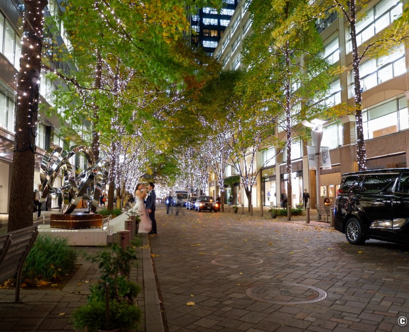 Avenue Naka-dori à Marunouchi (Tokyo) 2 Avenue Naka-dori à Marunouchi (Tokyo) 2