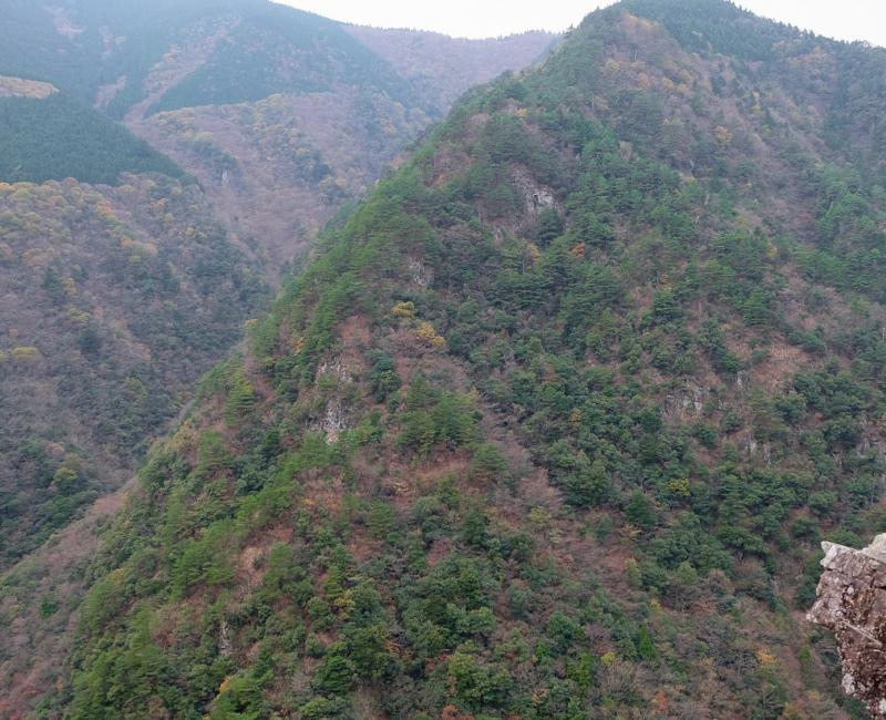 Vallée d'Iya (Shikoku), Statue du Manikin Vallée d'Iya (Shikoku), Statue du Manikin