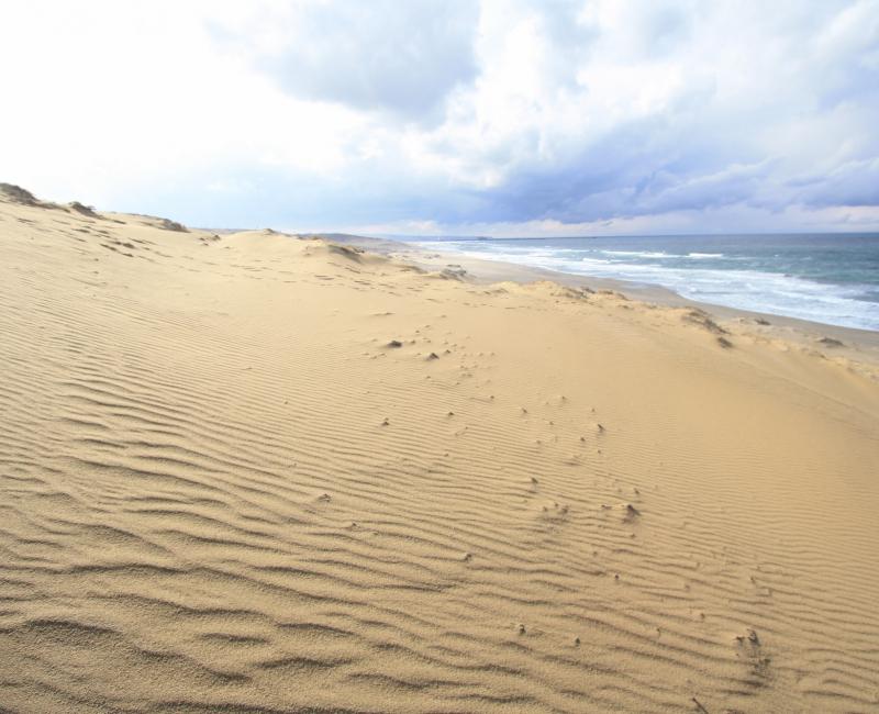 Tottori (Chugoku), vue sur les dunes de sable