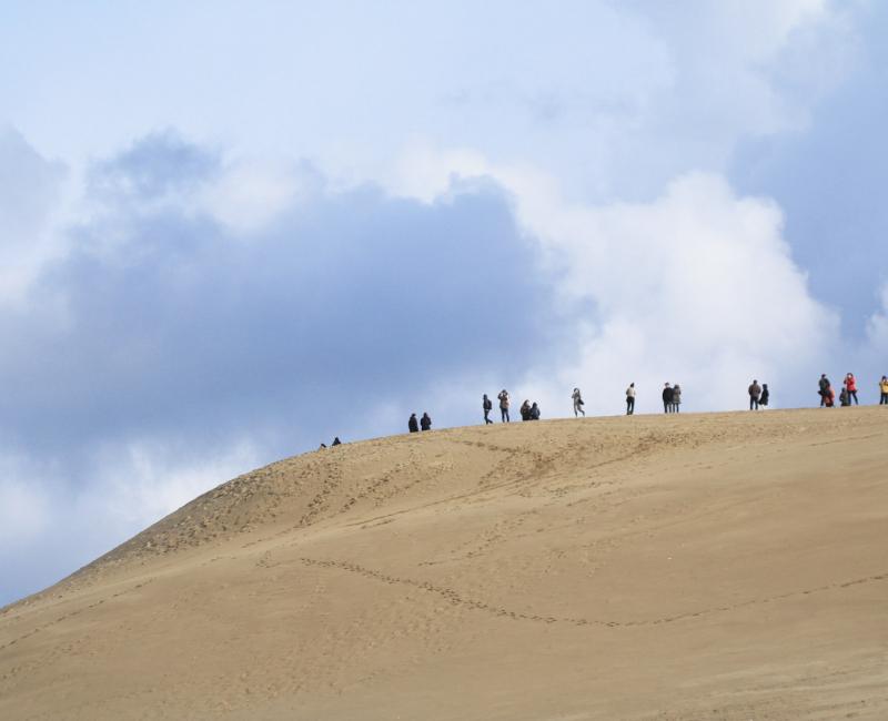 Dunes de Tottori 6 Dunes de Tottori 6