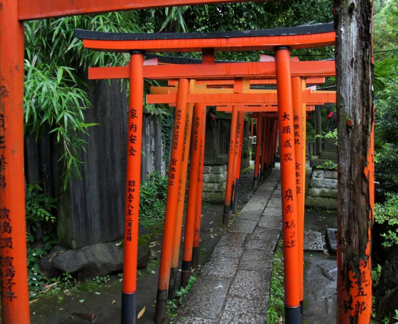 Nezu-jinja (Tokyo), Tunnel Senbon-Torii 2
