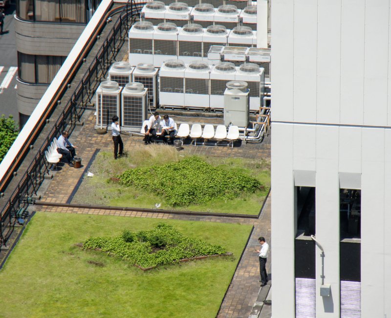 Salarymen en pause sur un toit de Tokyo