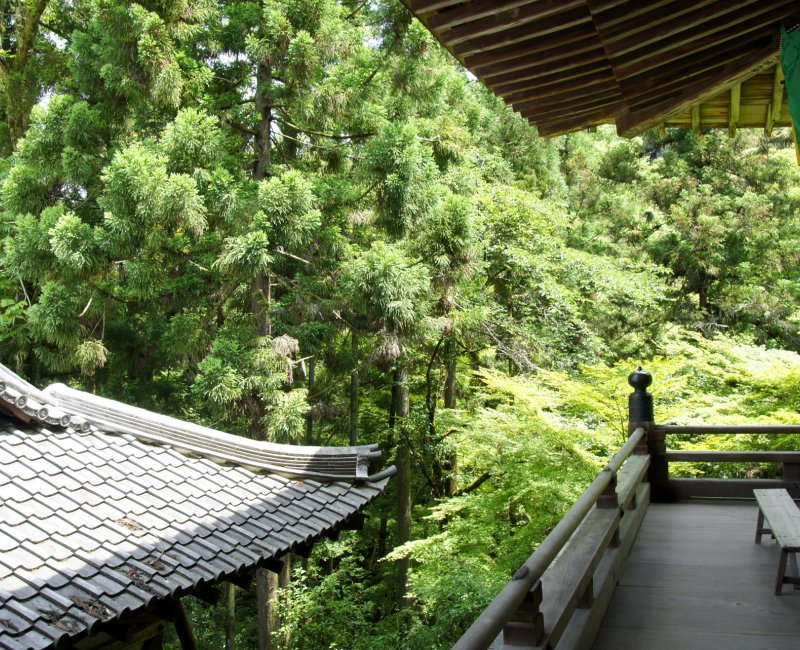 Ishiyama-dera (Otsu, Shiga), vue sur la forêt depuis les pavillons
