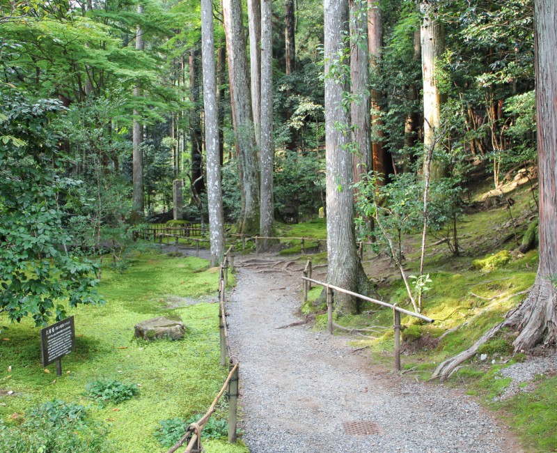 Ohara, chemin forestier au Jakko-in Ohara, chemin forestier au Jakko-in