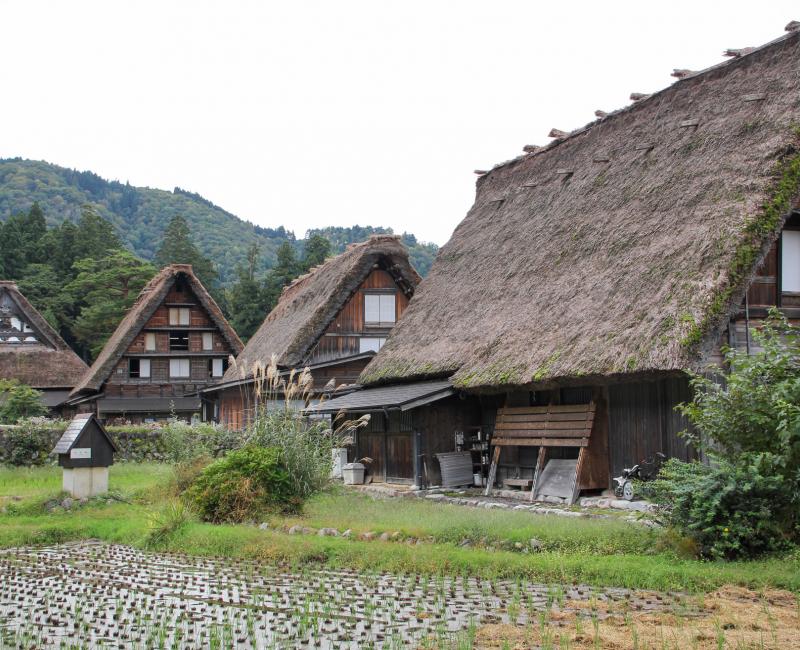 Shirakawa-go, Vue sur les rizières et les maisons aux toits de chaume 2 Shirakawa-go, Vue sur les rizières et les maisons aux toits de chaume 2