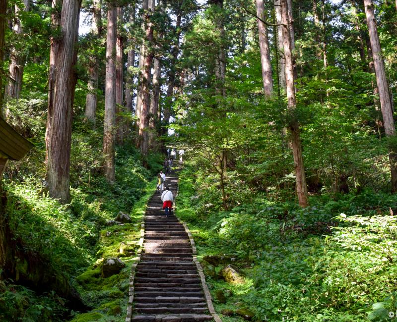 Mont Haguro (Dewa Sanzan, Tsuruoka), grand escalier de pierre