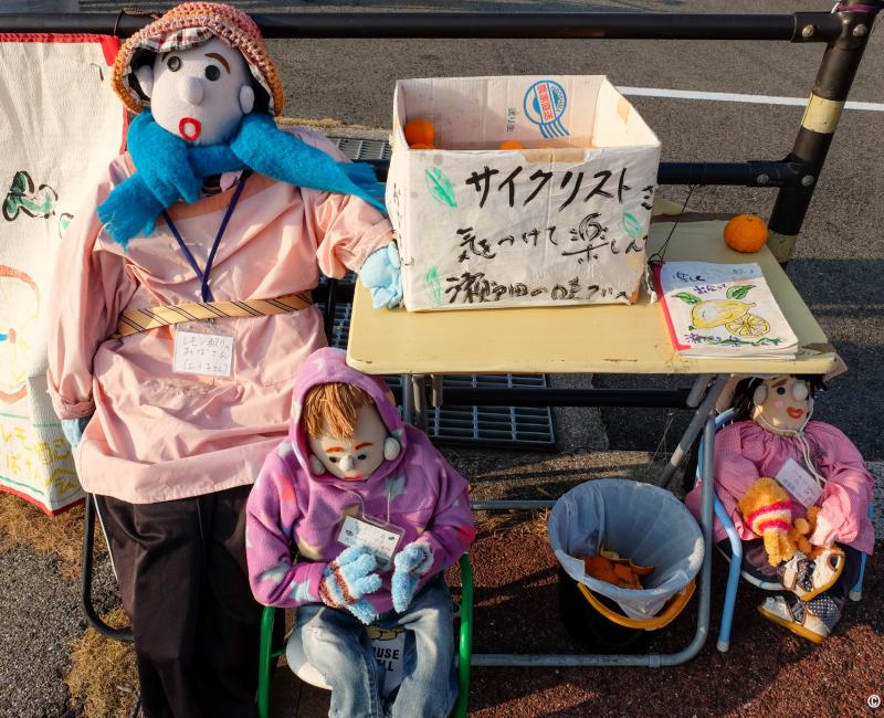 Stand de vente d'agrumes sur la route cyclable Shimanami Kaido