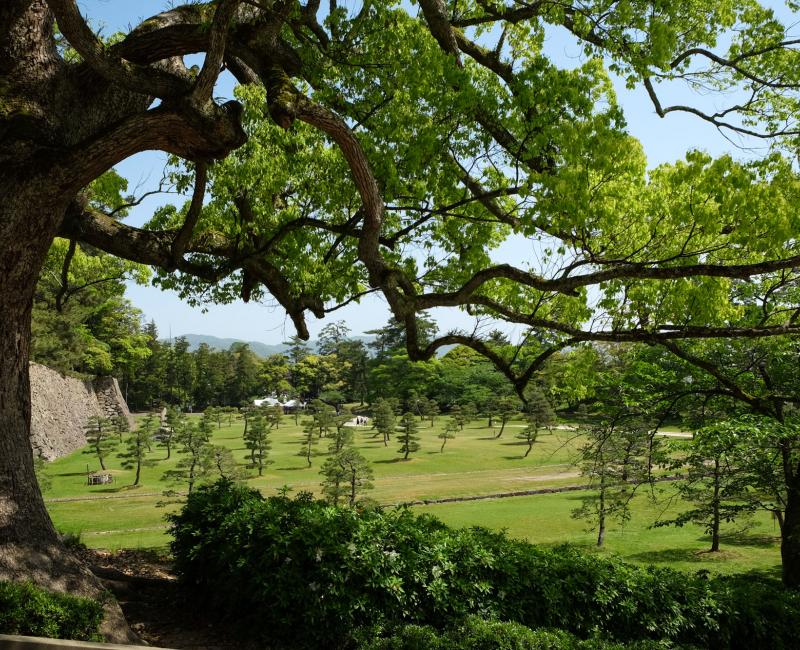 Château de Matsue, vue du parc