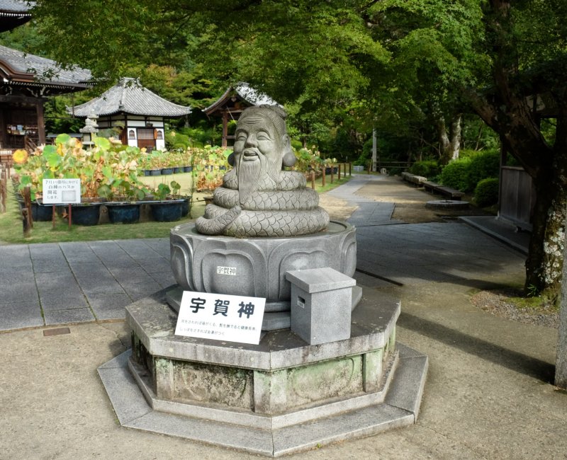 Mimuroto-ji, Statue de Ugajin