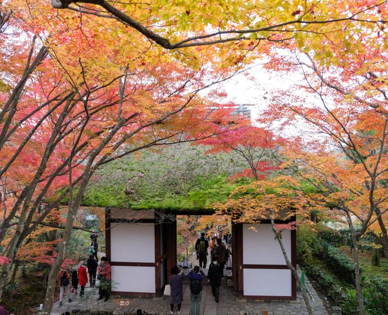 Porte Niomon du Jojakkoji-ji Porte Niomon du Jojakkoji-ji