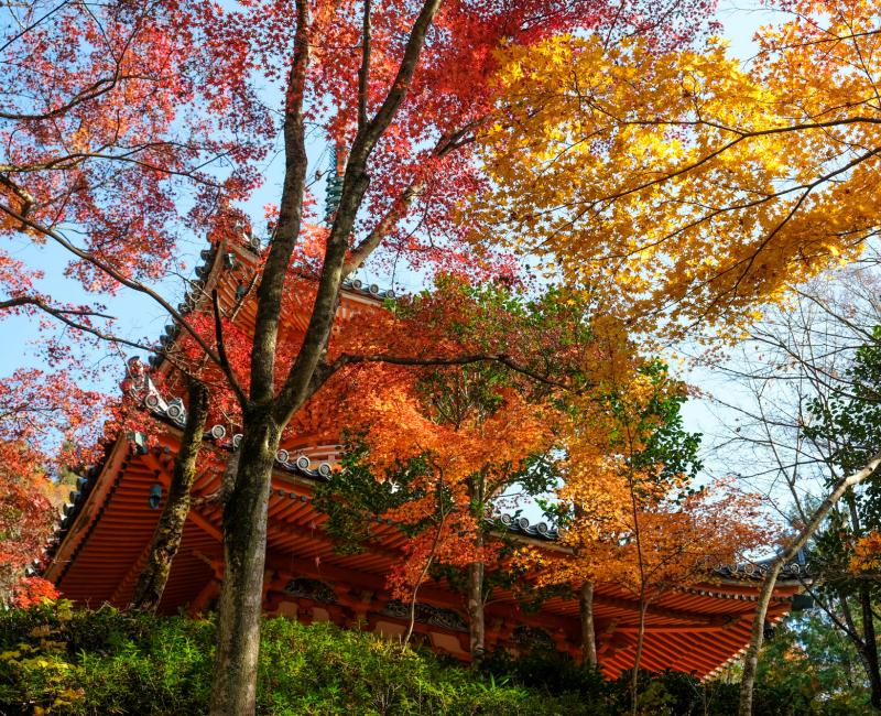 Pagode Tahoto au Mitaki-dera 2 Pagode Tahoto au Mitaki-dera 2