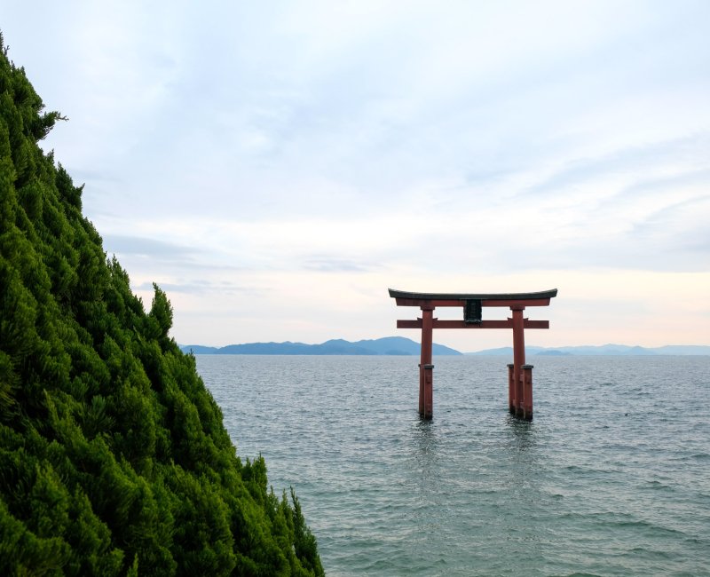 Shirahige-jnja (Takashima, Shiga), Torii flottant sur lac Biwa 