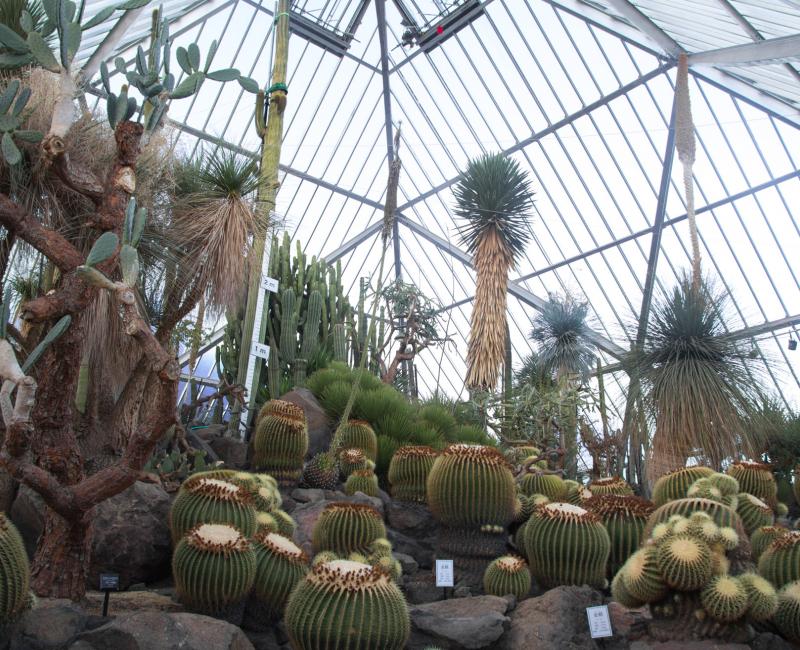 Zoo Shaboten d'Izu, Serre à cactus Zoo Shaboten d'Izu, Serre à cactus