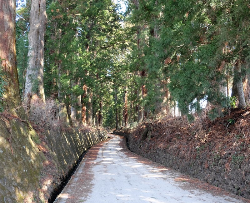 Nikko, Parc Suginamiki 2 Nikko, Parc Suginamiki 2