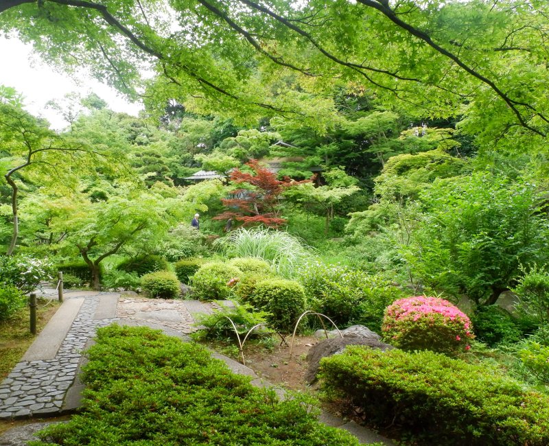 Musée Nezu (Tokyo), visite du jardin japonais 4