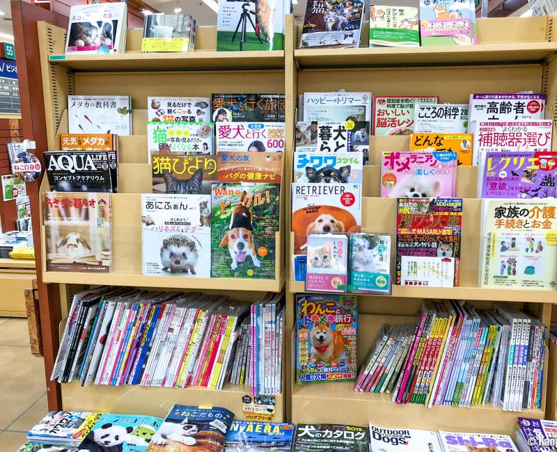 Magazines japonais pour animaux kawaii Magazines japonais pour animaux kawaii