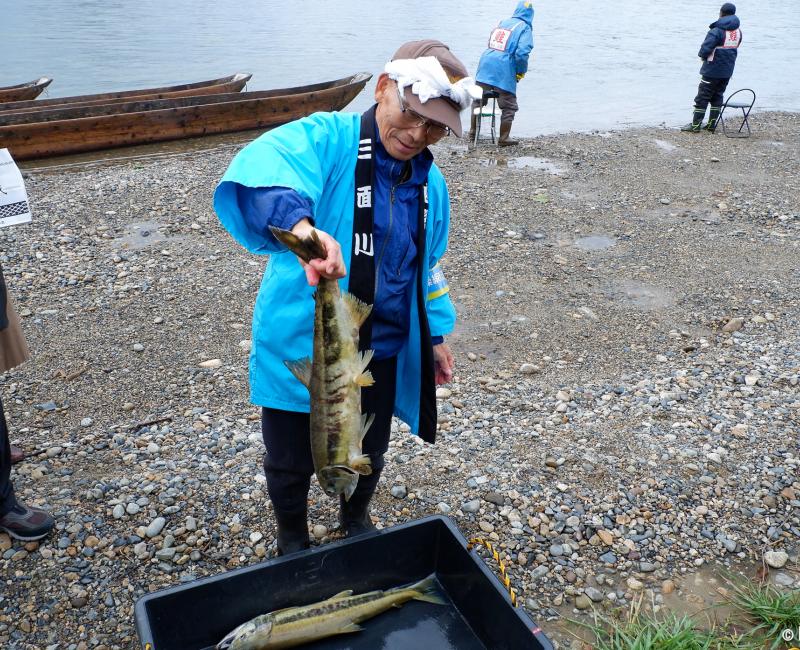Murakami (Niigata), Un pêcheur et ses saumons pêchés sur la rivière Miomote Murakami (Niigata), Un pêcheur et ses saumons pêchés sur la rivière Miomote